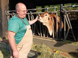 Dr and Cow